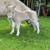 img_7802-standard.jpg