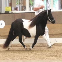 img_9008-standard-jh6dd0.jpg