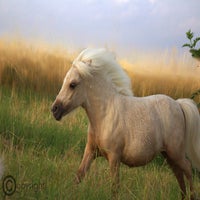 50c1b84b-0778-4bc6-b3fb-676bdb32afd8.jpeg