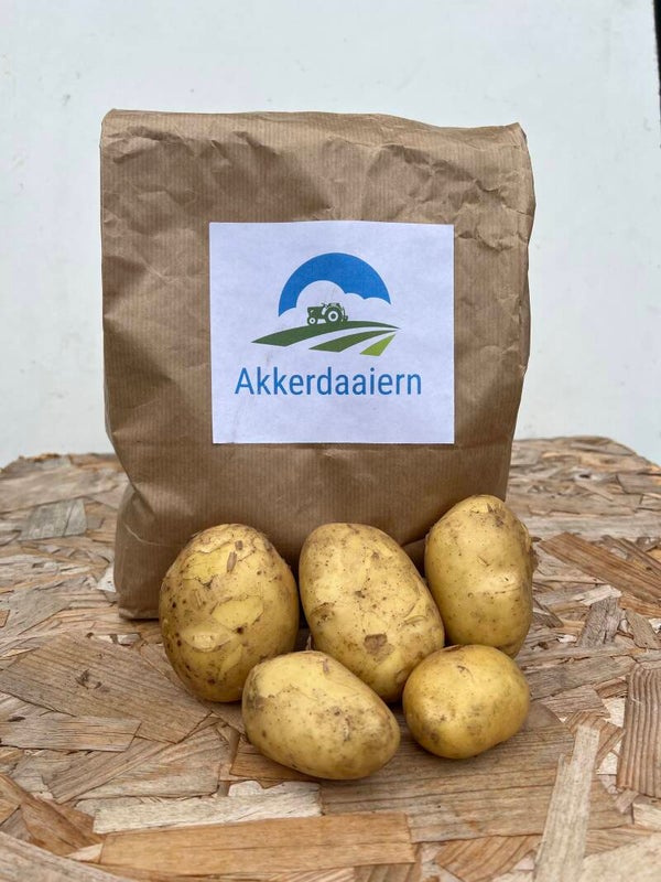 Levante aardappelen