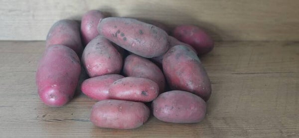 Alouette aardappelen