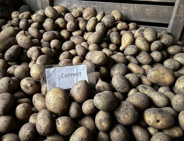 Connect aardappelen