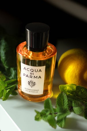 Spring fragrance mood featuring lemon, basil and mint