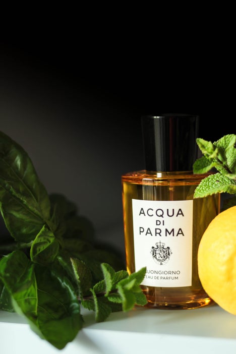 Citrus and herbal fragrance still life with Acqua di Parma
