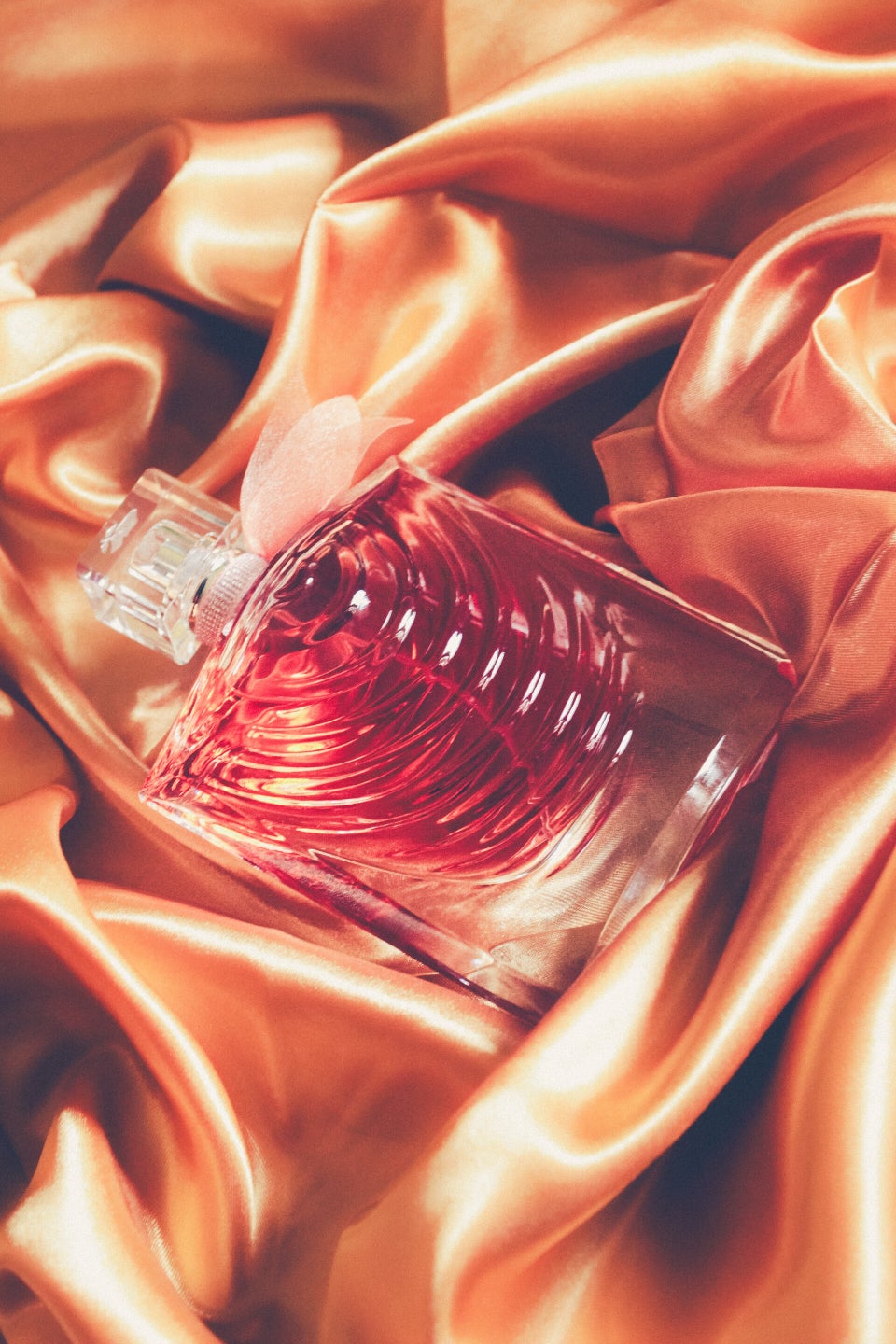 Soft-focus shot of La Vie Est Belle Iris Absolu framed by golden satin
