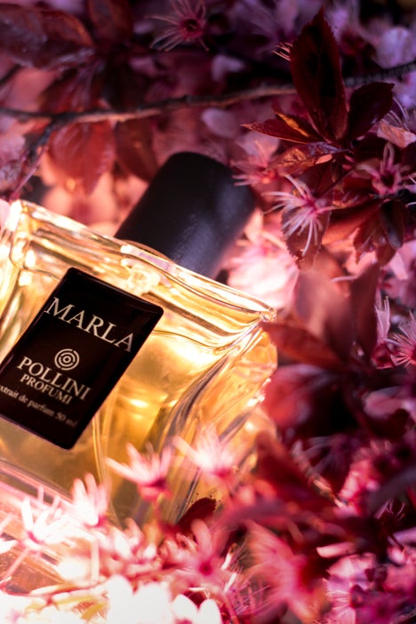 Still life fragrance image of Marla by Pollini with romantic pink tones