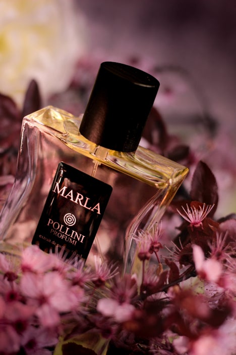 Still life fragrance image of Marla by Pollini with romantic pink tones