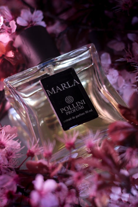 Still life fragrance image of Marla by Pollini with romantic pink tones