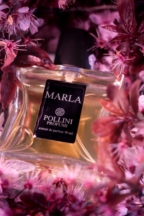 Still life fragrance image of Marla by Pollini with romantic pink tones