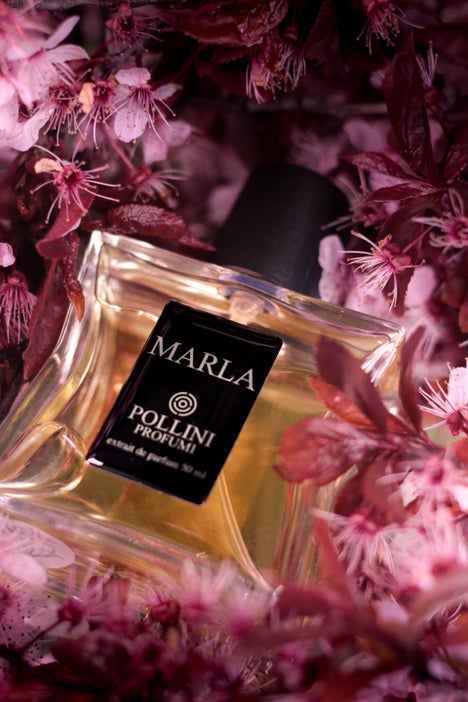 Still life fragrance image of Marla by Pollini with romantic pink tones