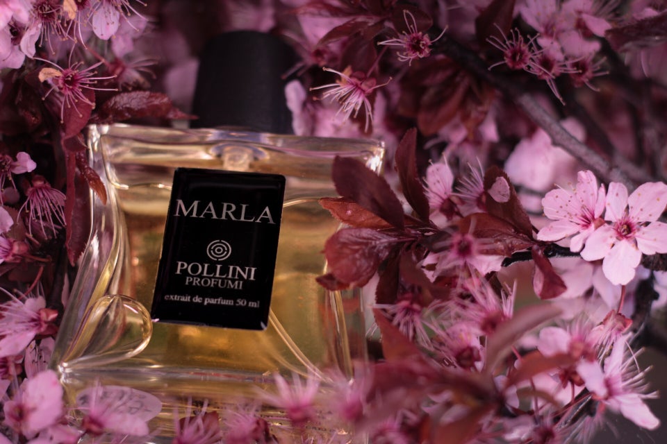 Still life fragrance image of Marla by Pollini with romantic pink tones
