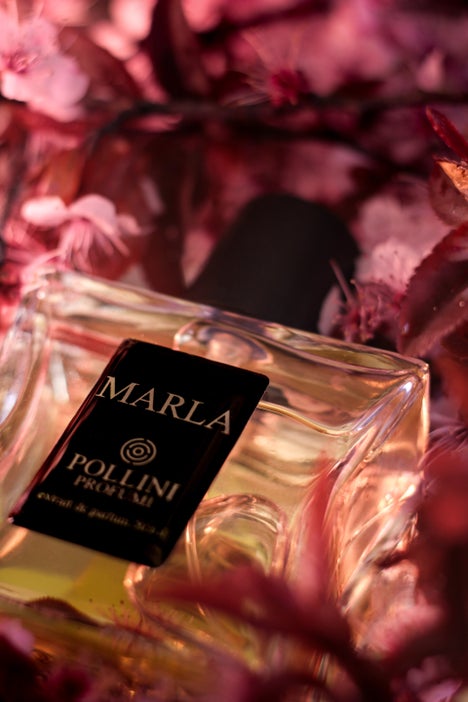 Still life fragrance image of Marla by Pollini with romantic pink tones