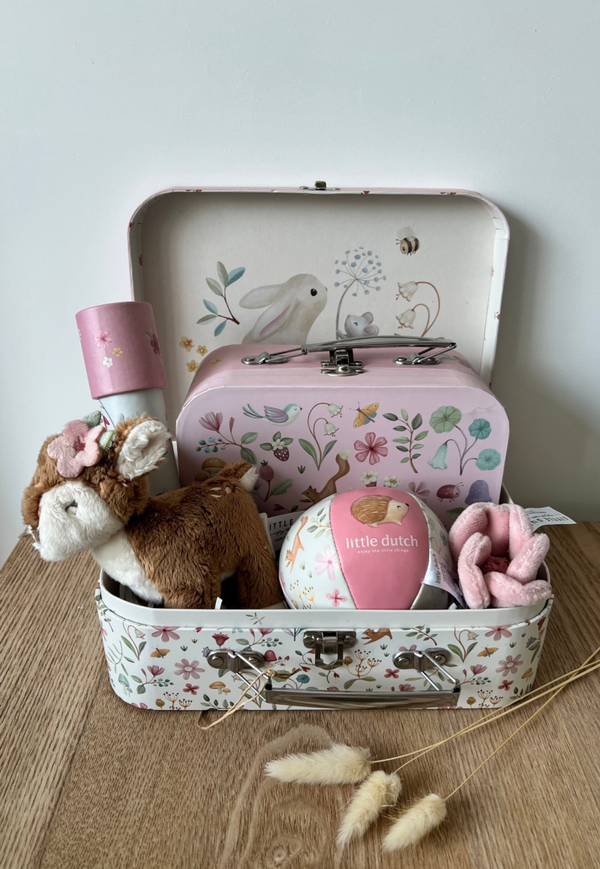 Geschenk koffer Fairy Garden