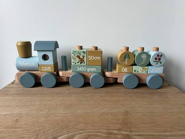 Blokkentrein Forest Friends