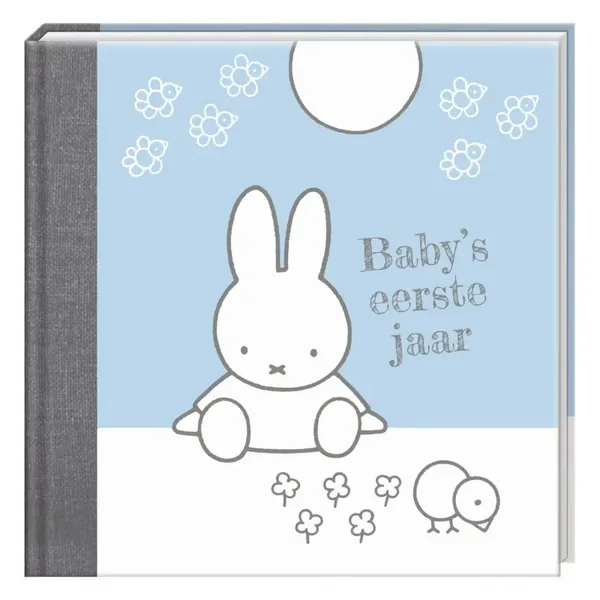 Baby’s eerste jaar boek