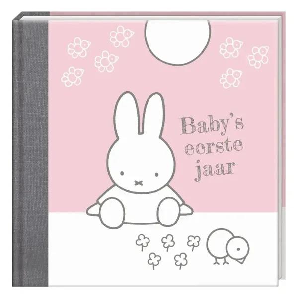 Baby’s eerste jaar boek