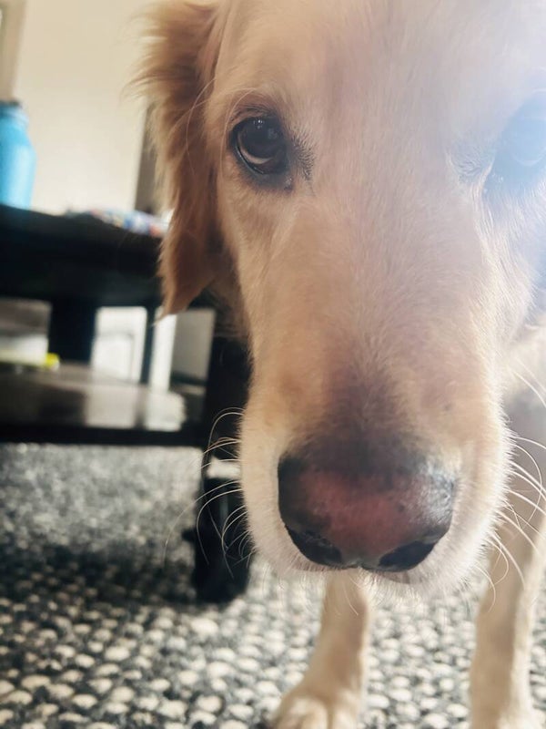 Monthly snail mail subscription (outside of Canada)