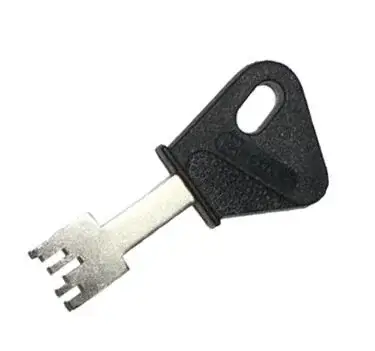 1000018656-standard.webp