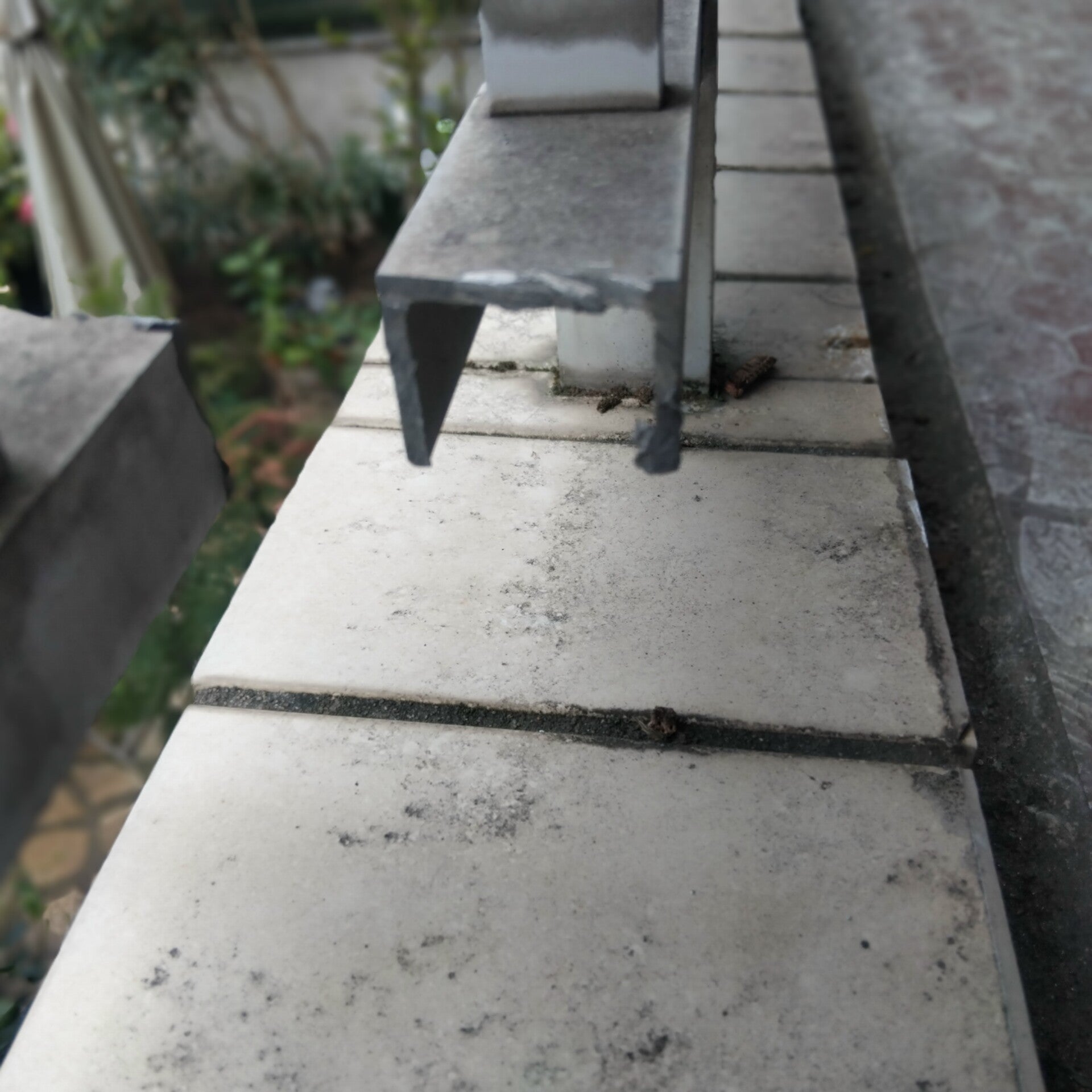 1000044985-standard.jpg