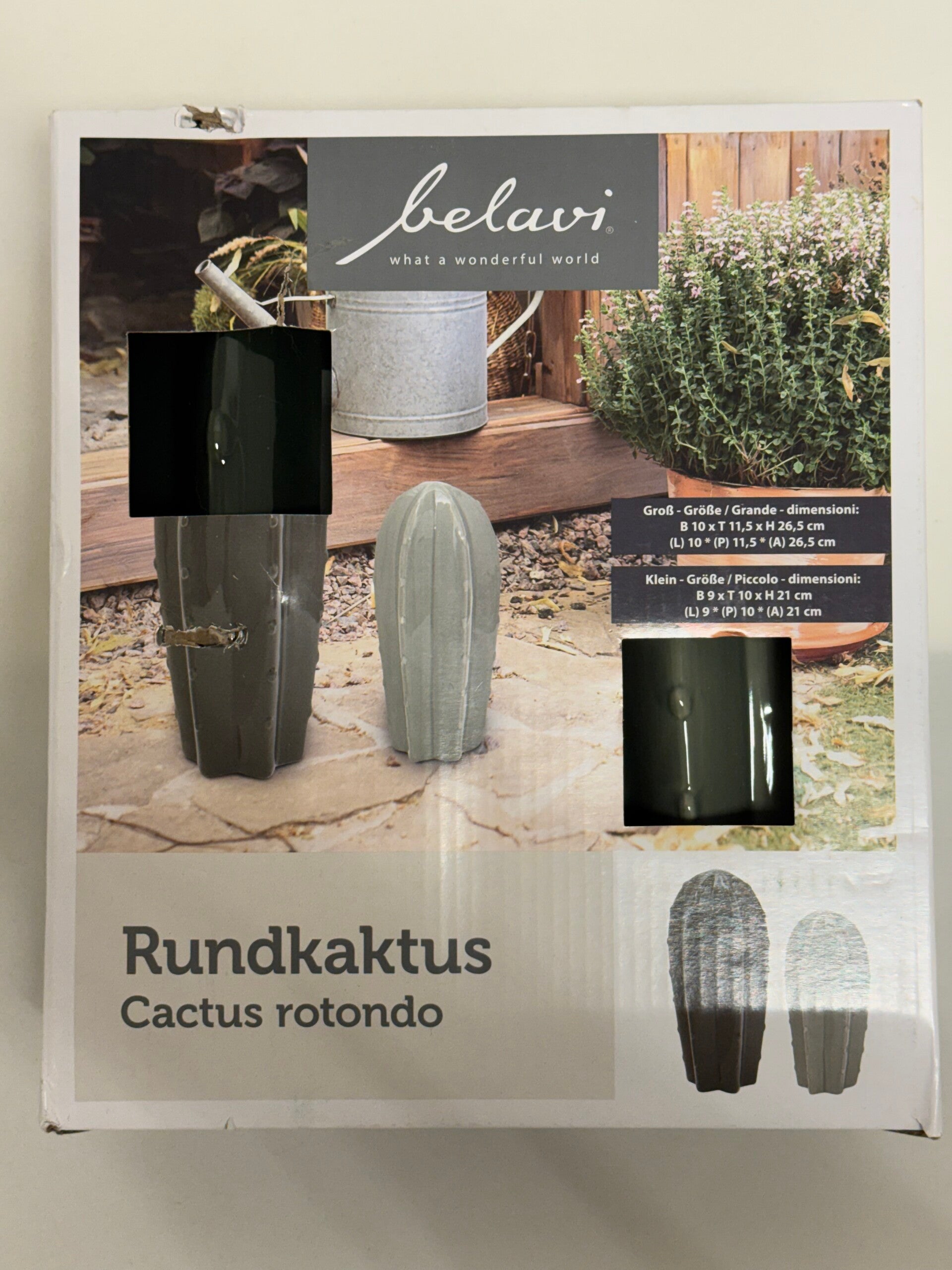 Gartendeko Kakteen