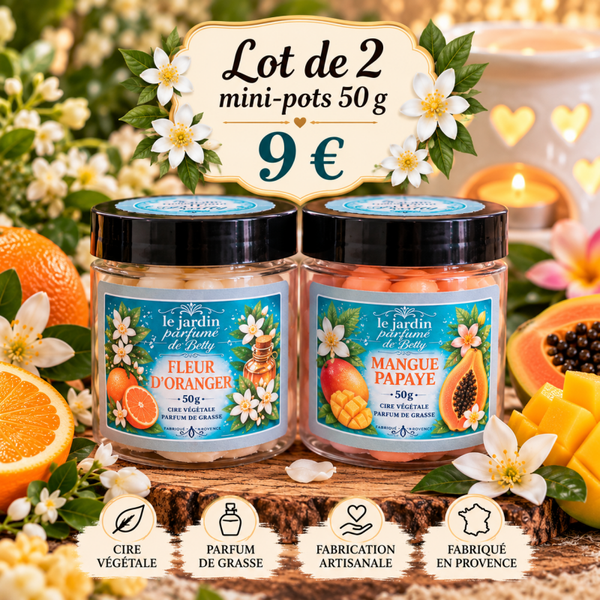 Lot de 2 mini-pots