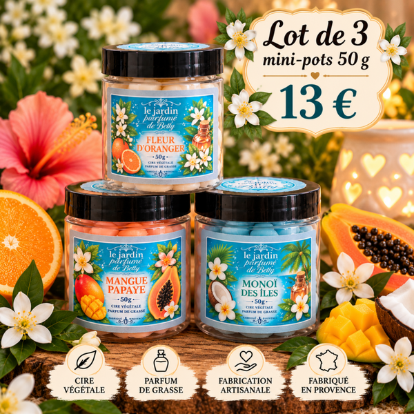 🌺 Lot de 3 mini-pots.