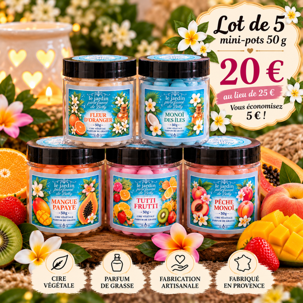 🎁 Lot de 5 mini-pots