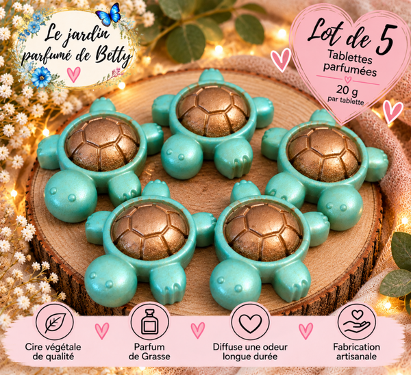 🌺 LOT DE 5  TORTUES 20g 🌺