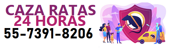 exterminadores de ratas 24 horas