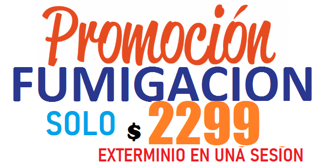fumigación en Santa Fe