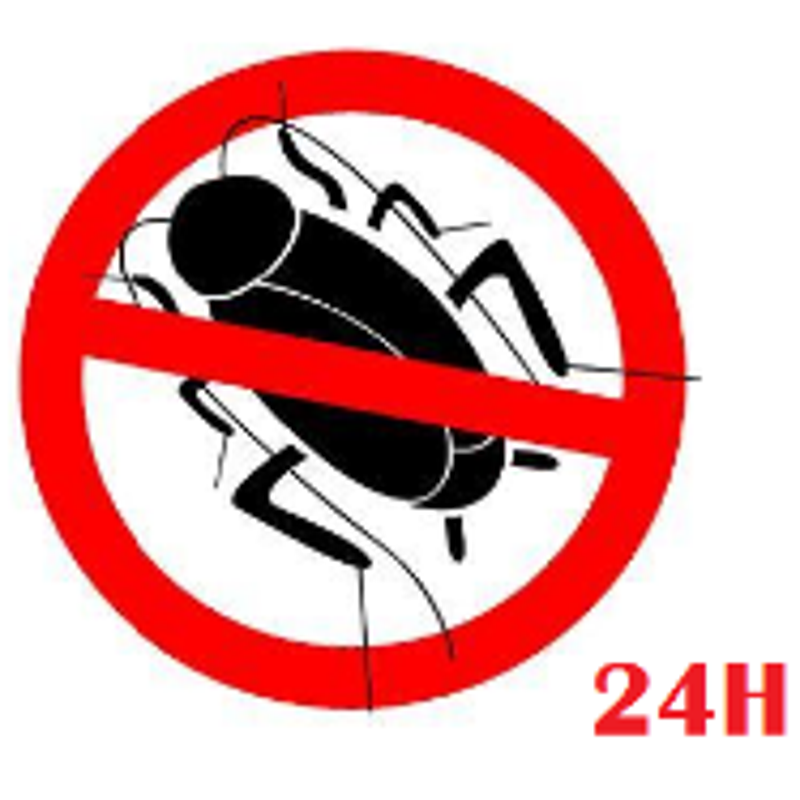 fumigaciones-24-horas-standard.png