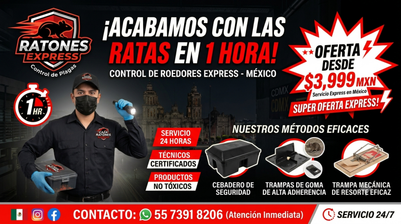 Fumigación profesional de ratas para tiendas comerciales Control efectivo de roedores en mercados locales Eliminación segura de ratas en establecimientos comerciales Prevención de plagas para tiendas y mercados Servicio especializado contra ratas en comer