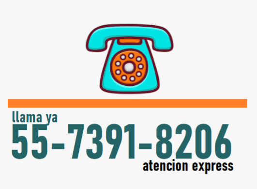 Fumigaciones de chinches cerca de mi Fumigación de chinches precio Fumigaciones de chinches en CDMX Fumigaciones de Chinches ESTADO DE MEXICO Fumigación de chinches precio CDMX Fumigación de chinches con vapor