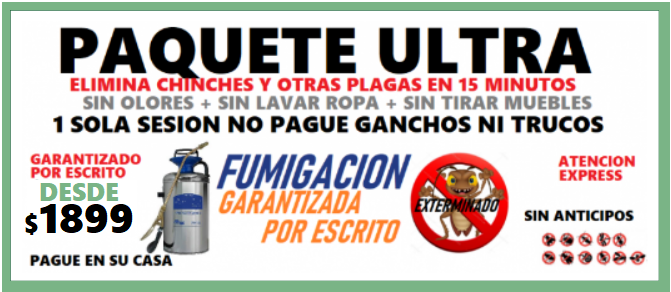 Fumigaciones de chinches 24 horas CDMX precio 2026