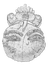 MoojanPayami