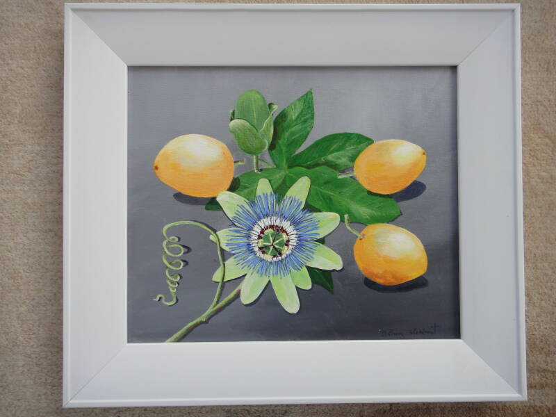Passion Flower. Floral Art. A. Mordaunt. Clonmel.