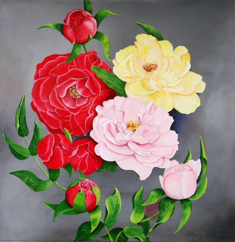 Peony Rose. Floral Art. A. Mordaunt. Clonmel.