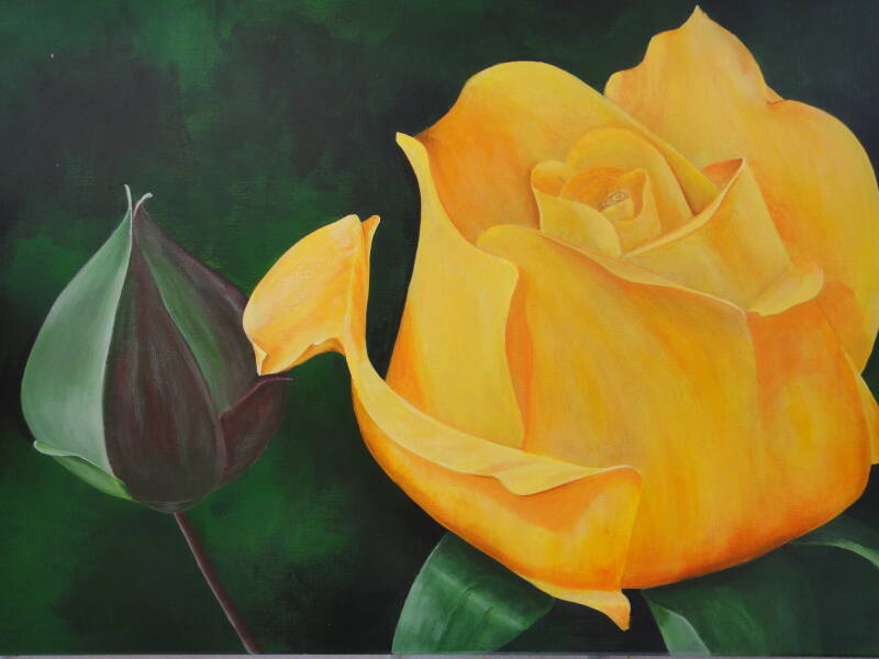 Floral Art. Yellow Rose. A. Mordaunt. Clonmel.