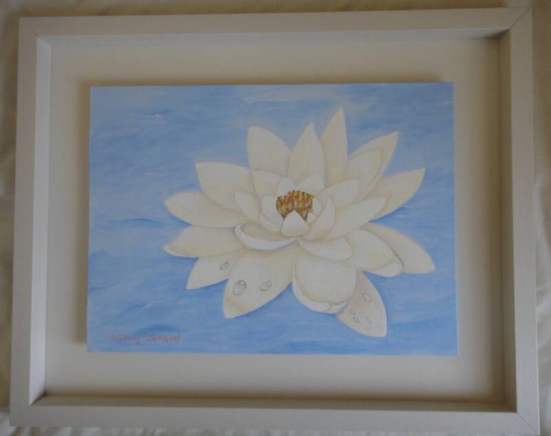 Waterlily. Florsl Art. A. Mordaunt. Clonmel.