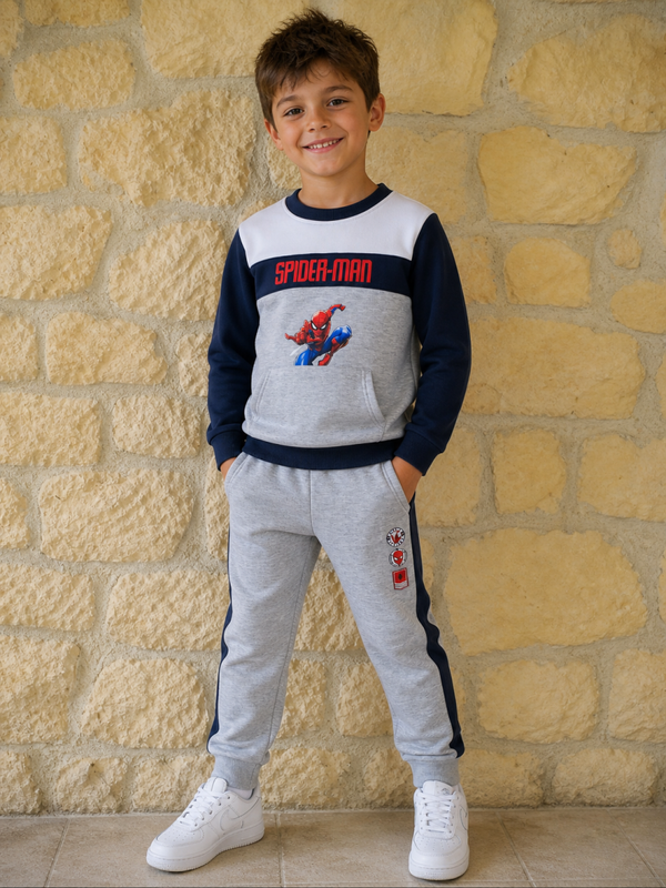 Ensemble Spider Man