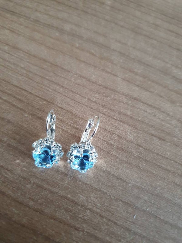 Oorbellen lichtblauw