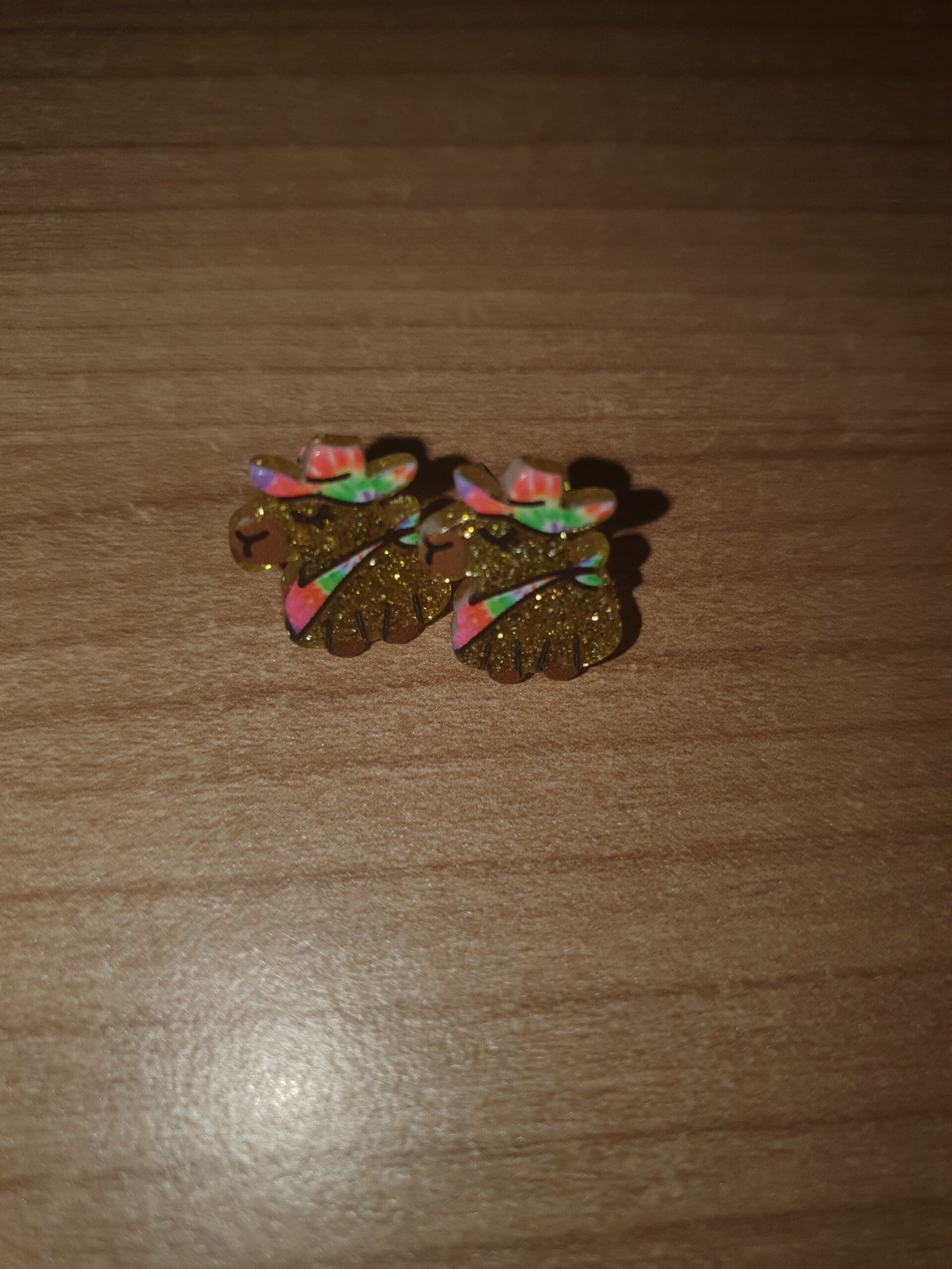 Oorbellen capibara 5