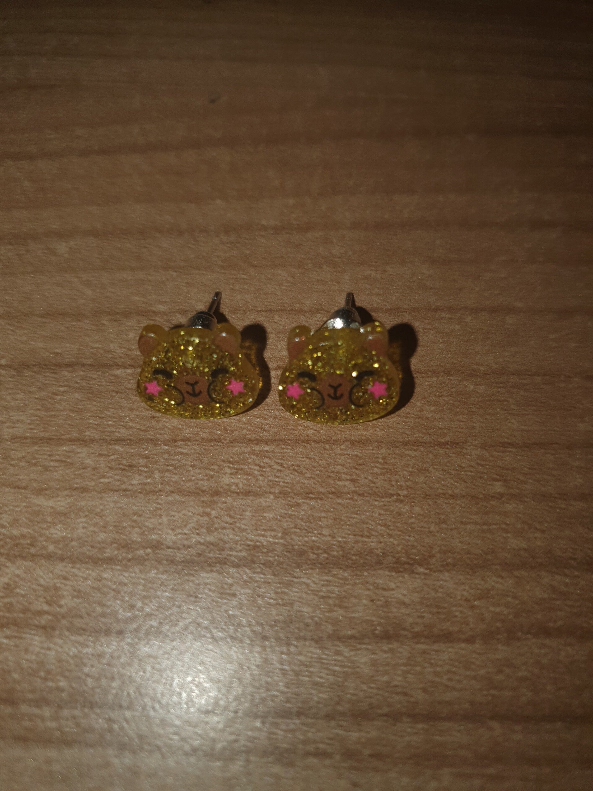 Oorbellen capibara 4