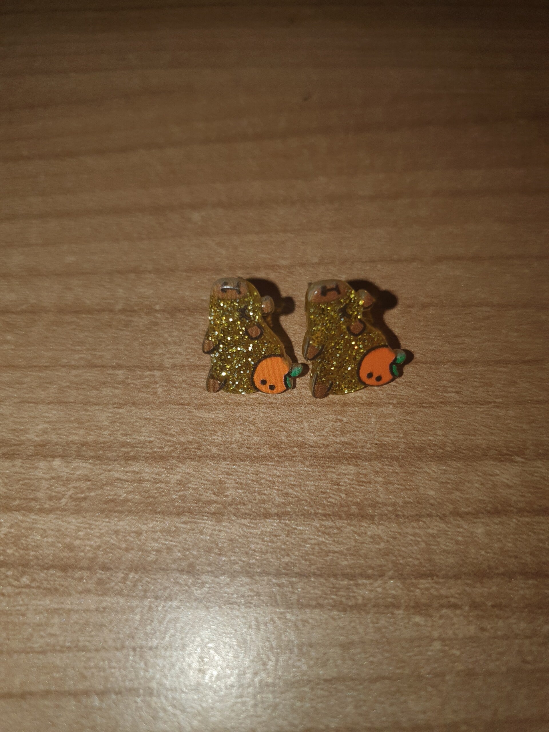 Oorbellen capibara 1