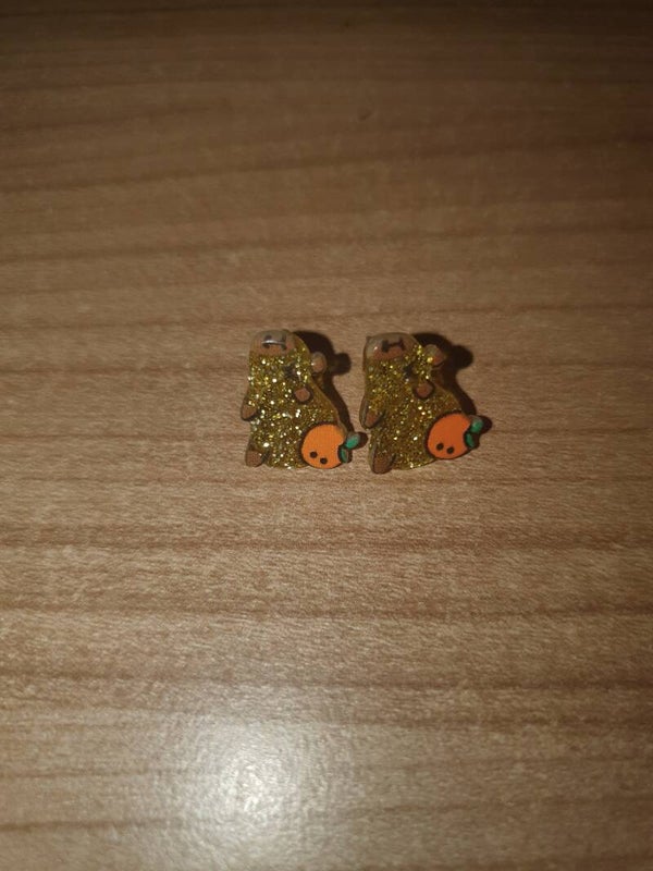 Oorbellen capibara 1