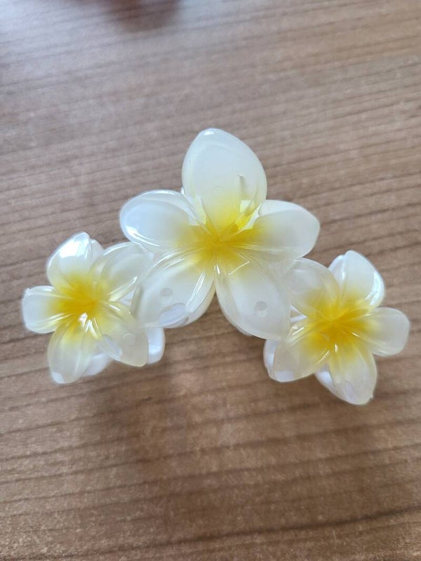 Klem bloemen wit