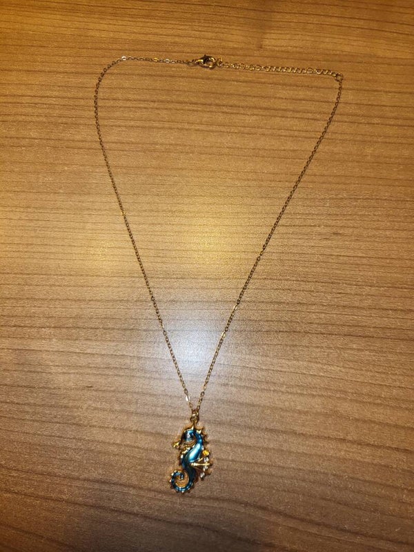Ketting zeepaardje