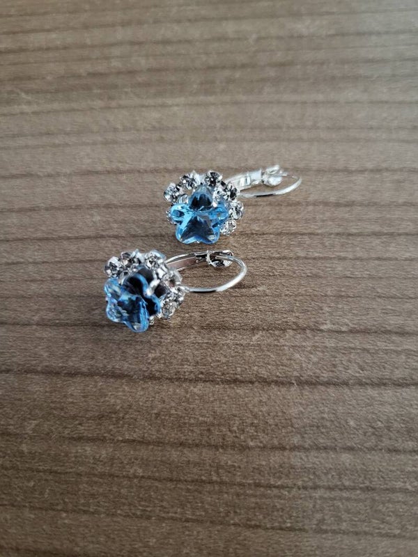 Oorbellen lichtblauw zilver