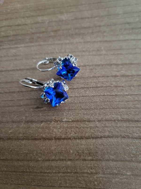Oorbellen donkerblauw zilver