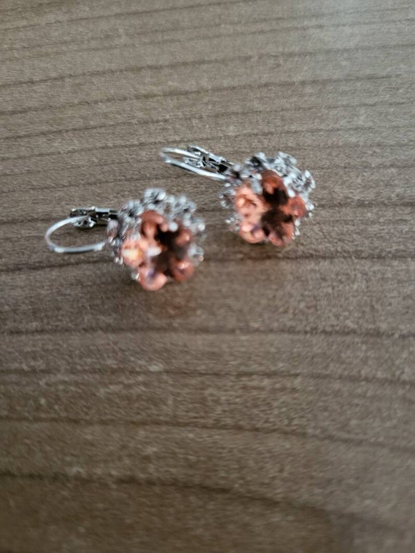 Oorbellen oranje zilver